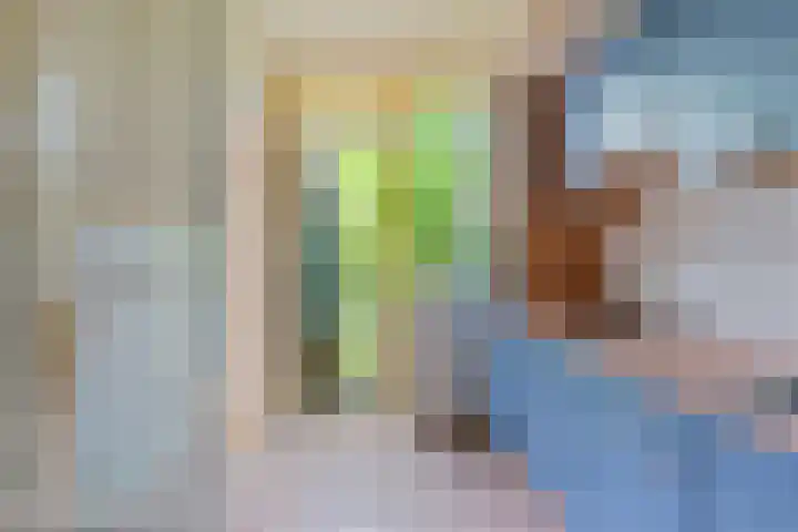 Eiberweg 86 Dedemsvaart thumbnail 8
