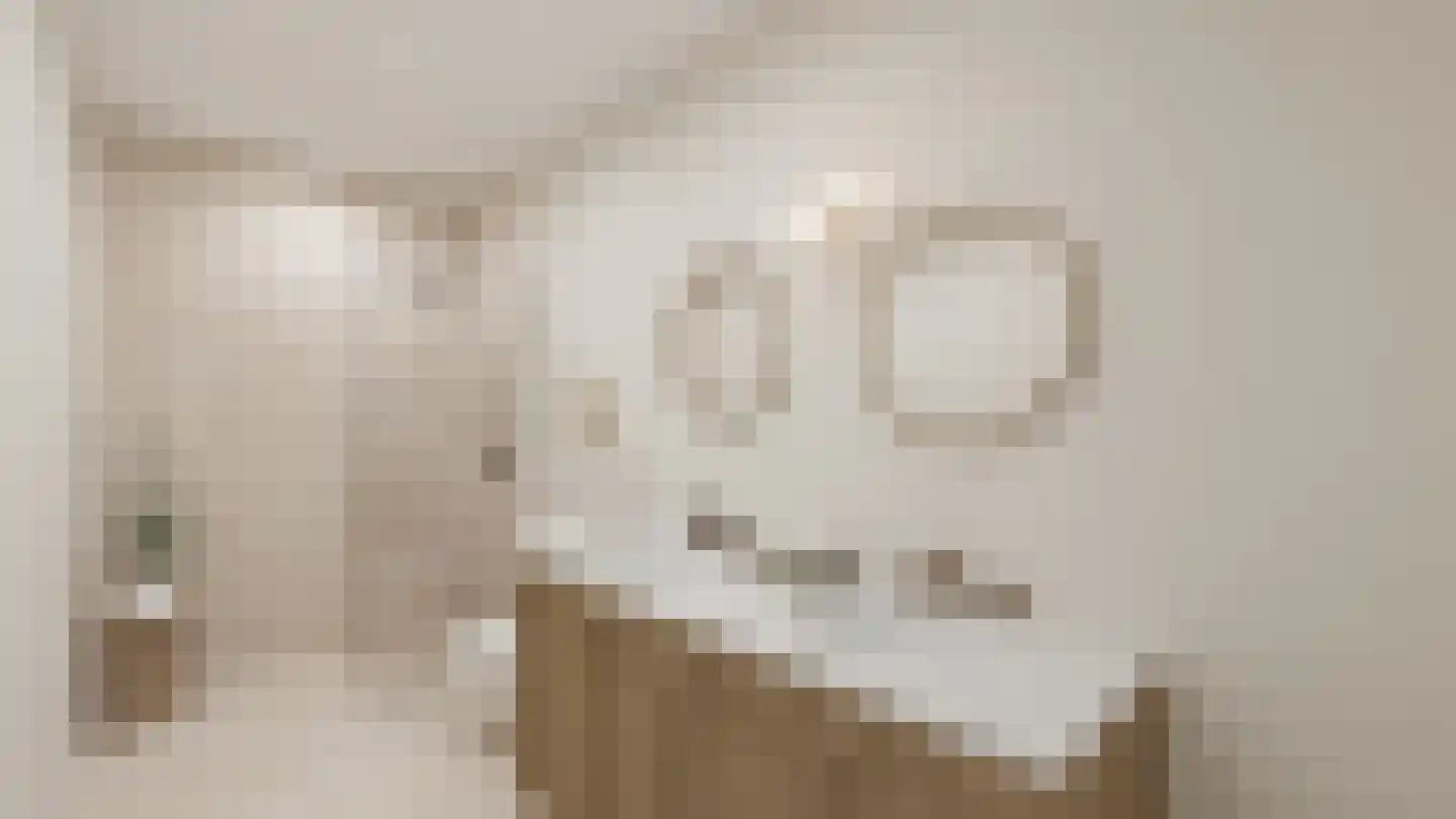 Eickerveld 33 Echt thumbnail 4