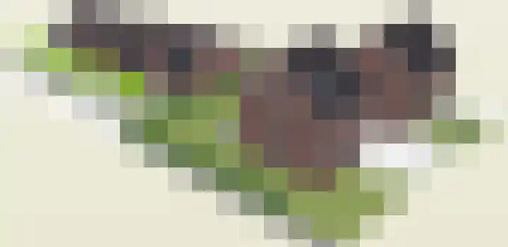 Eickerveld 33 Echt thumbnail 7