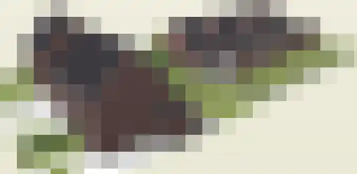 Eickerveld 33 Echt thumbnail 8