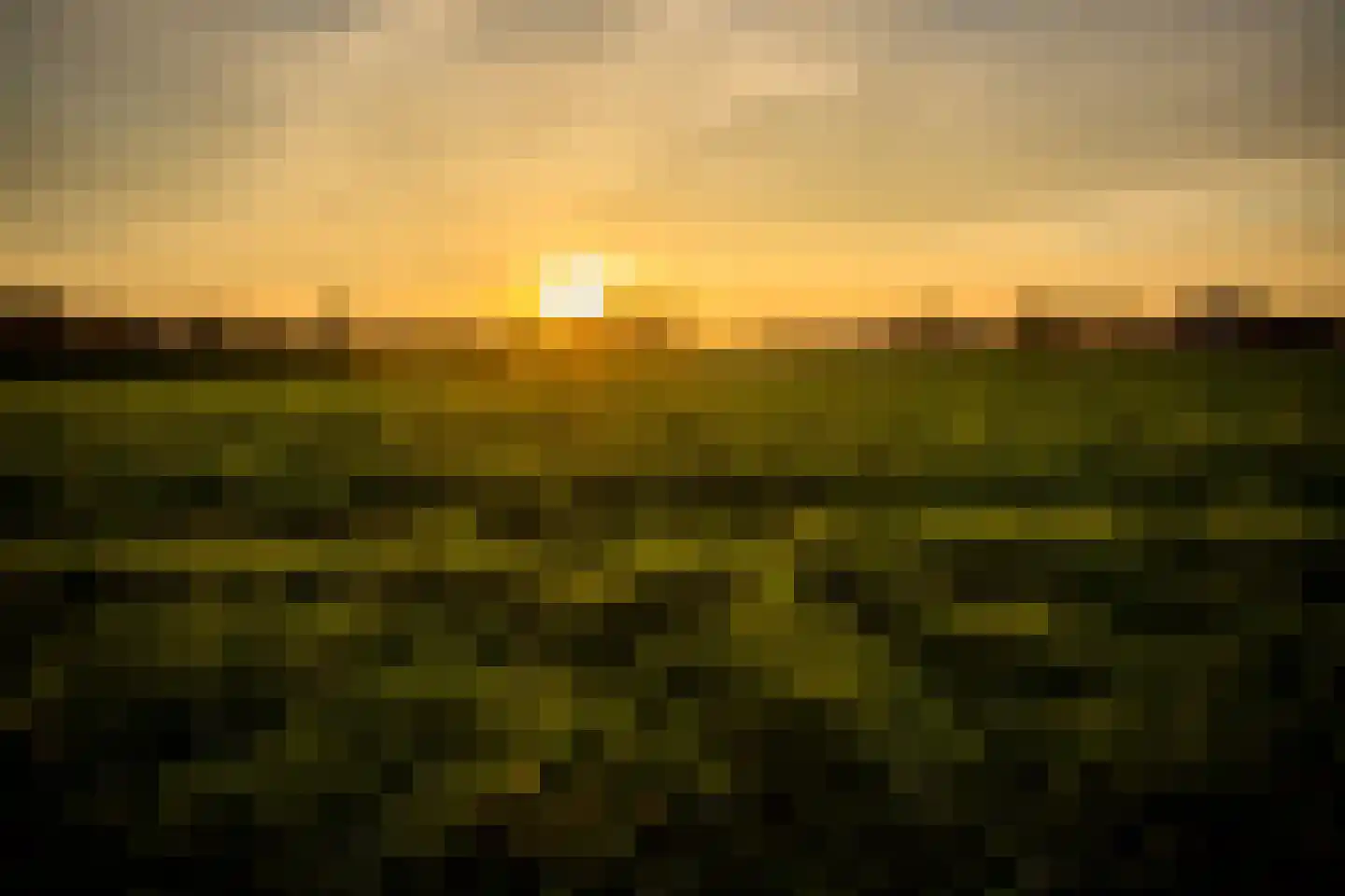 Eickerveld 37 Echt thumbnail 17