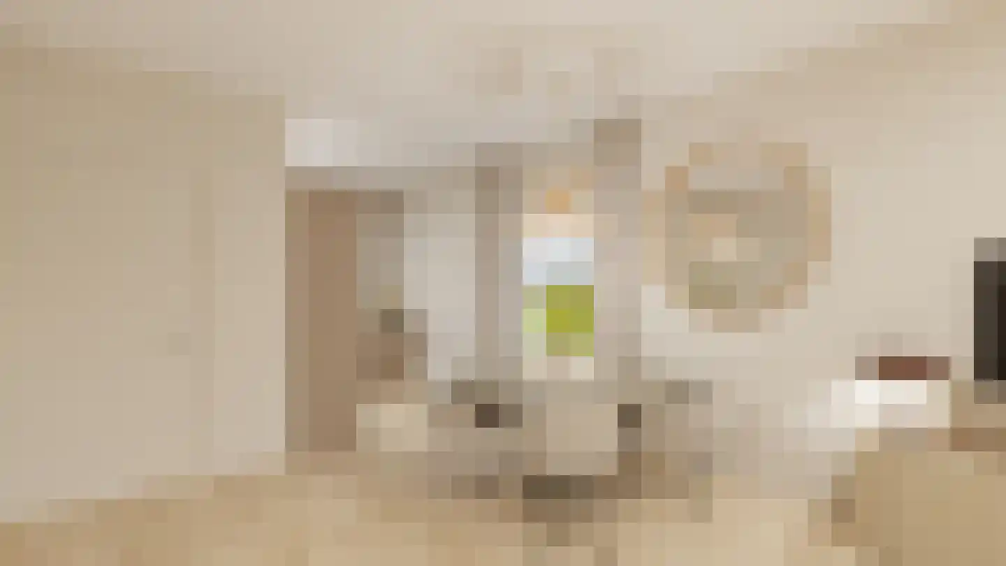Eickerveld 39 Echt thumbnail 13