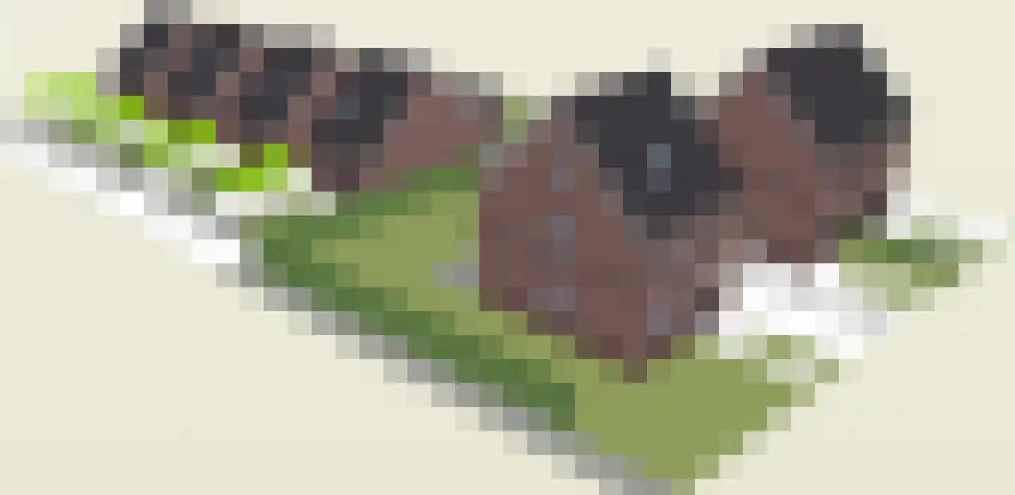 Eickerveld 39 Echt thumbnail 7