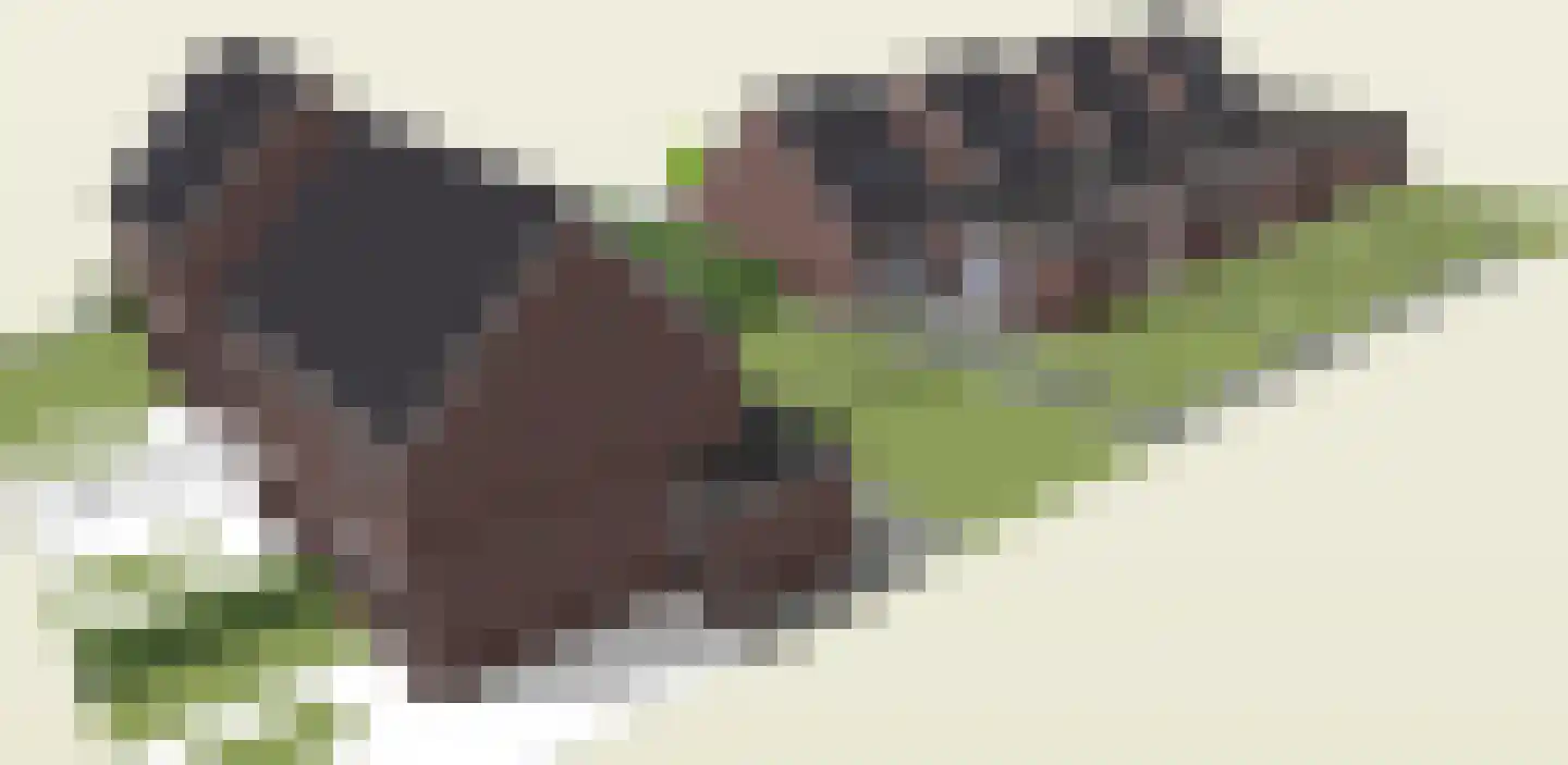 Eickerveld 39 Echt thumbnail 8
