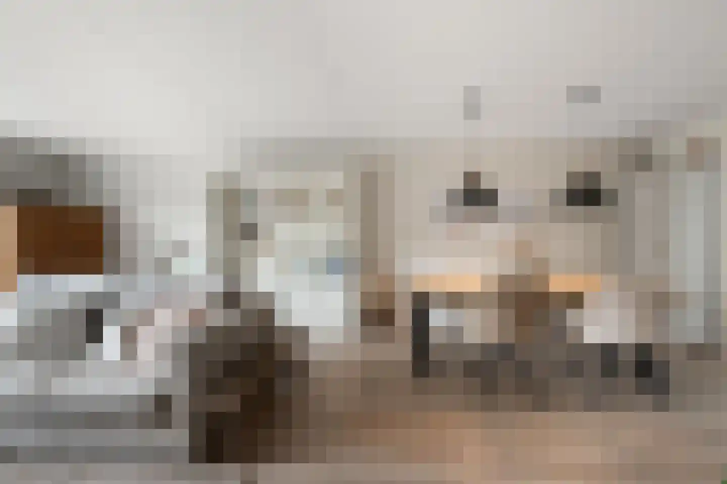 Eidereend 11 Uithoorn thumbnail 11