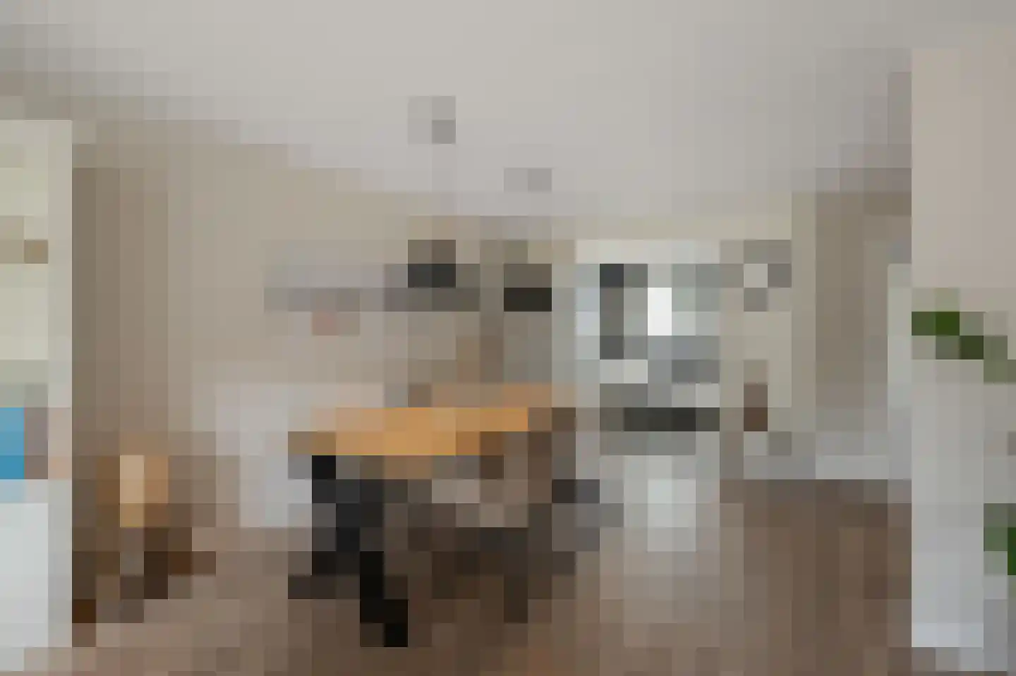 Eidereend 11 Uithoorn thumbnail 12