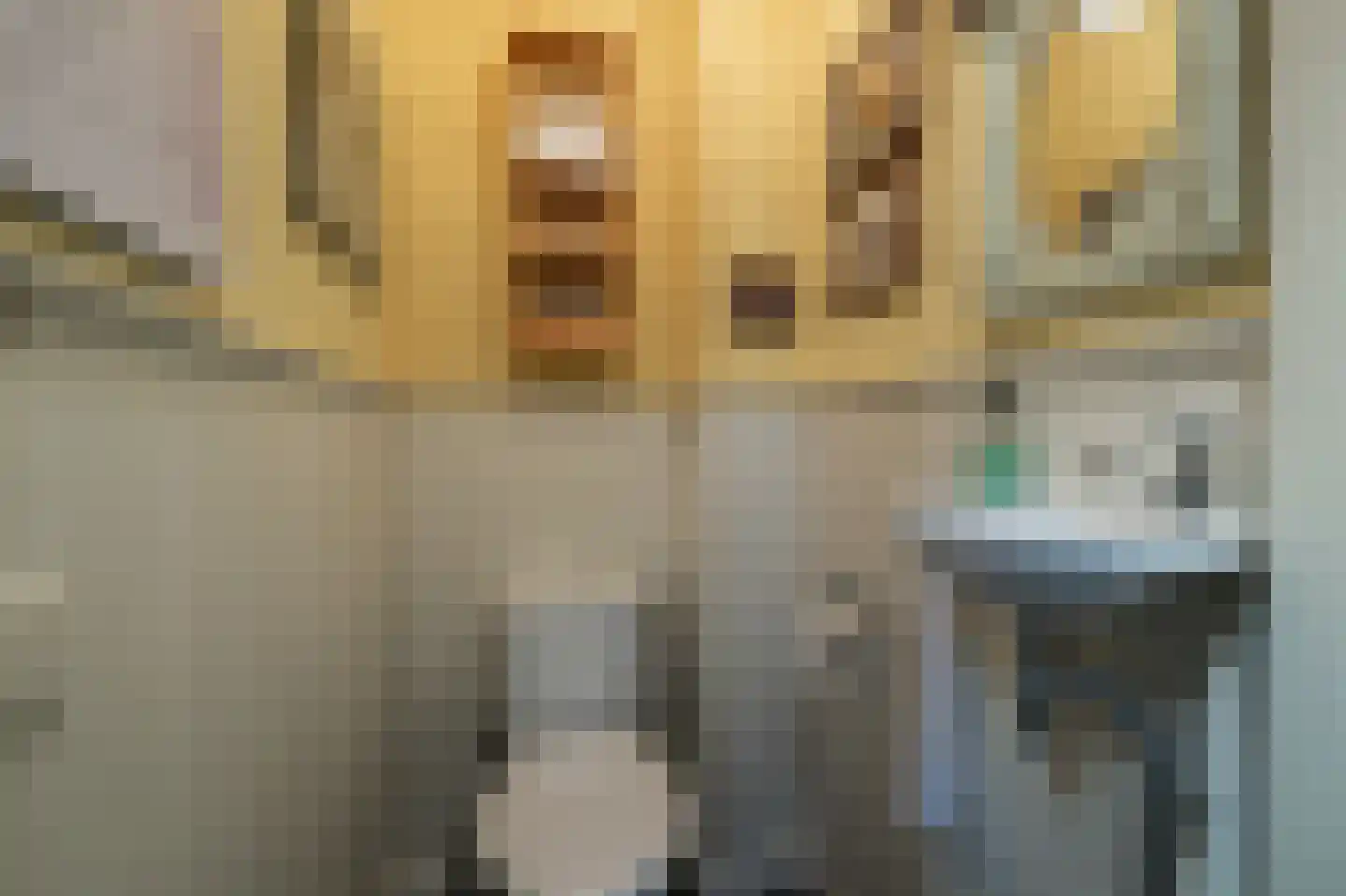 Eidereend 11 Uithoorn thumbnail 15
