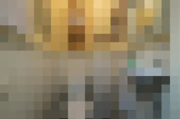 Eidereend 11 Uithoorn thumbnail 15