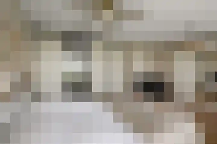 Eidereend 11 Uithoorn thumbnail 18