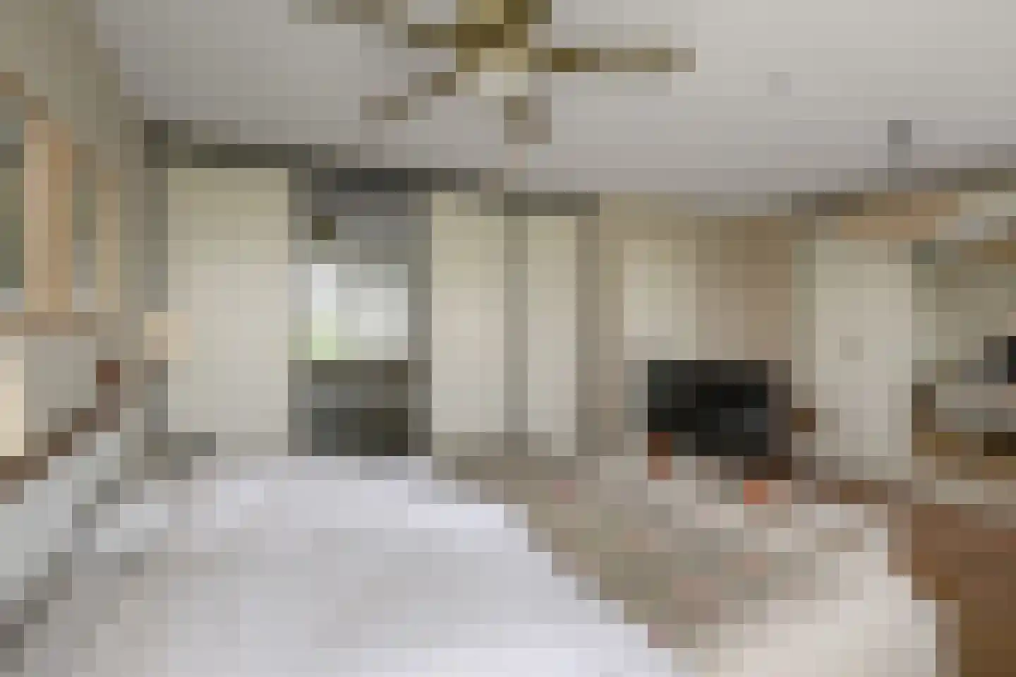 Eidereend 11 Uithoorn thumbnail 18