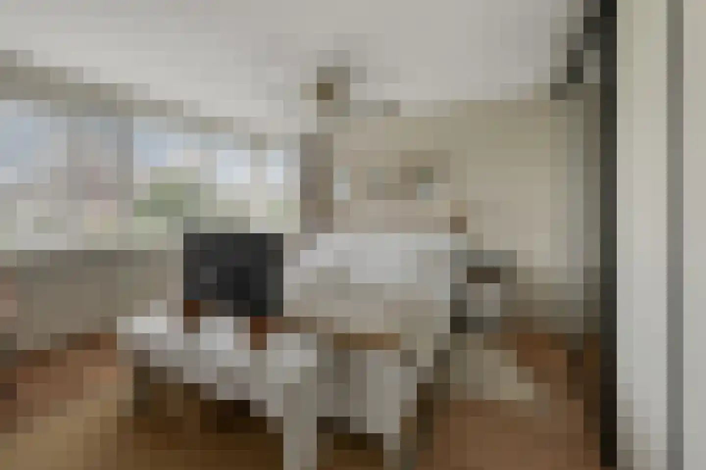 Eidereend 11 Uithoorn thumbnail 19