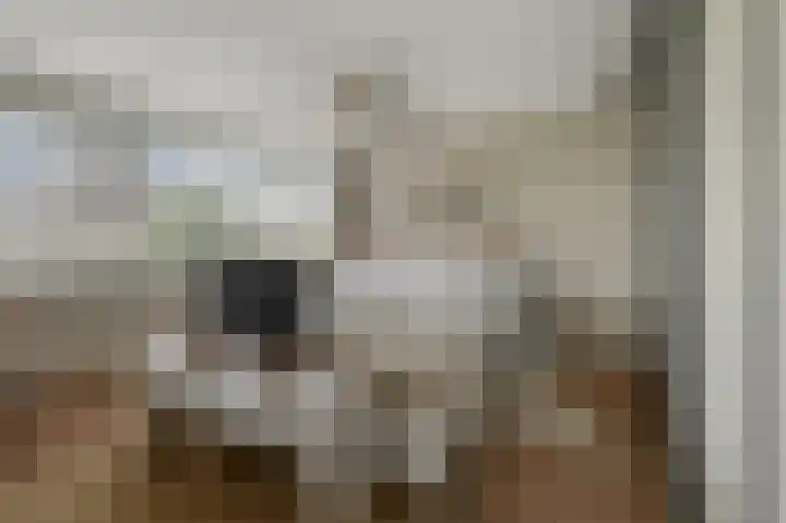 Eidereend 11 Uithoorn thumbnail 19