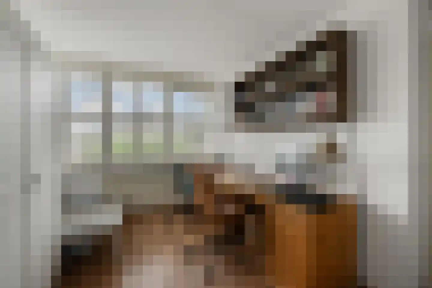 Eidereend 11 Uithoorn thumbnail 21