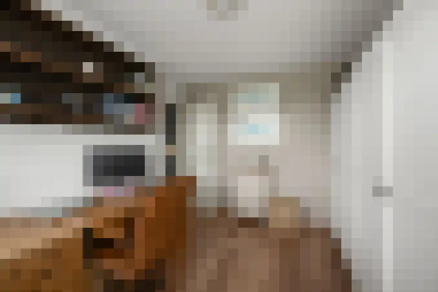 Eidereend 11 Uithoorn thumbnail 23