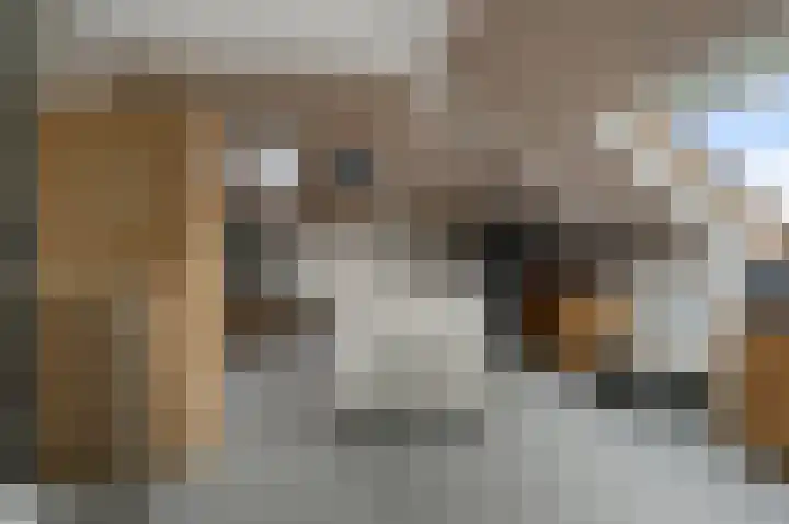 Eidereend 11 Uithoorn thumbnail 27