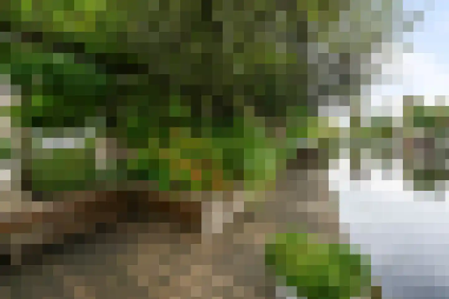 Eidereend 11 Uithoorn thumbnail 30