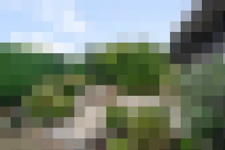 Eidereend 11 Uithoorn thumbnail 34