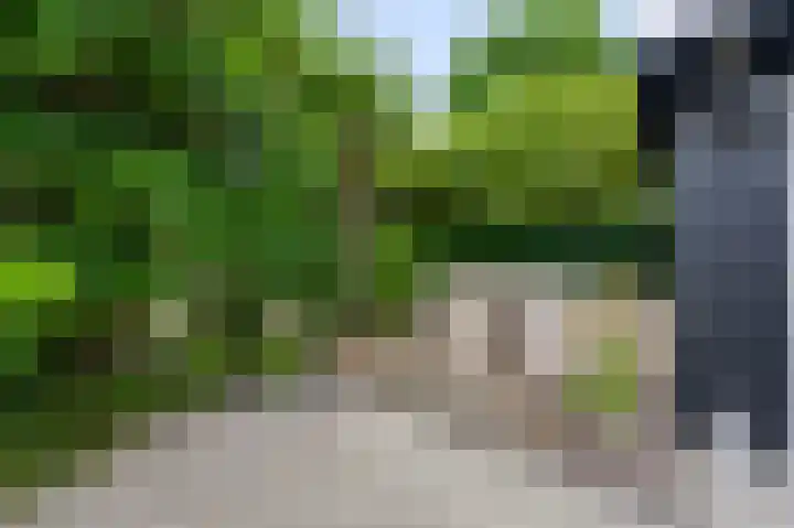 Eidereend 11 Uithoorn thumbnail 35