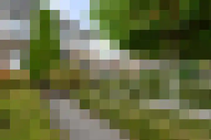 Eidereend 11 Uithoorn thumbnail 41
