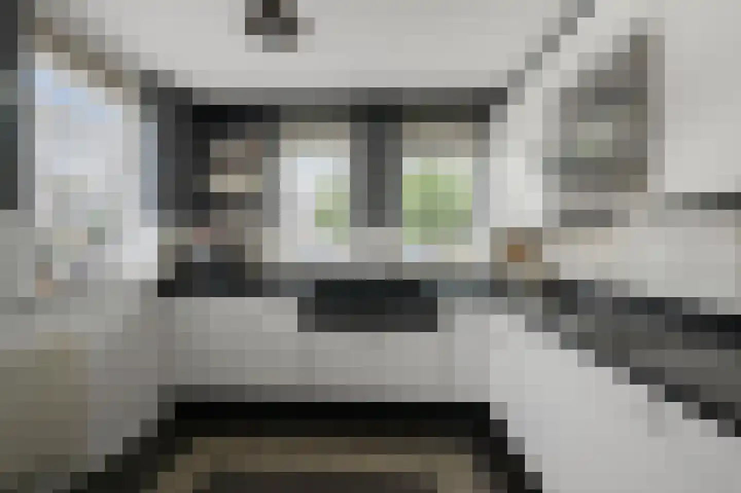 Eidereend 11 Uithoorn thumbnail 5