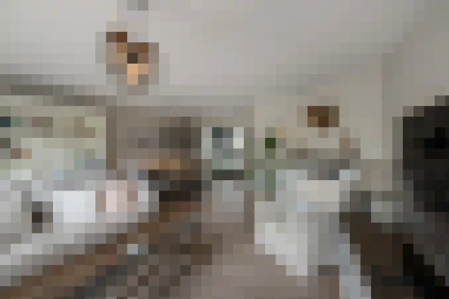 Eidereend 11 Uithoorn thumbnail 6