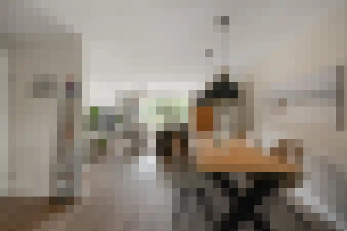 Eidereend 11 Uithoorn thumbnail 7