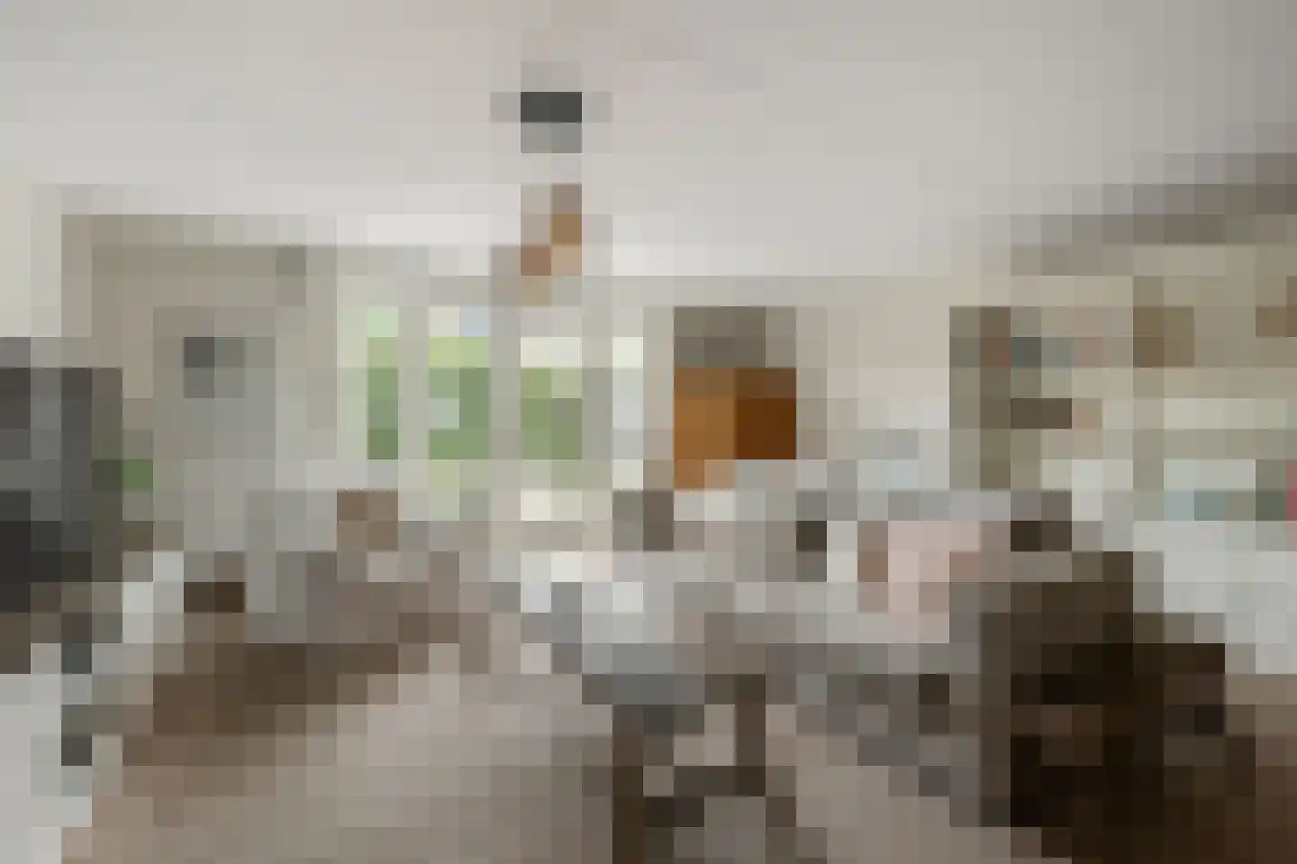 Eidereend 11 Uithoorn thumbnail 8