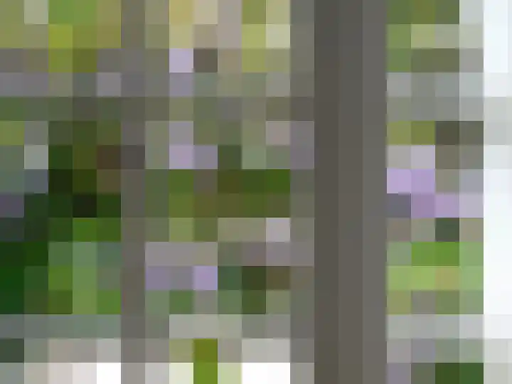 Eidereend 11 Uithoorn thumbnail 9