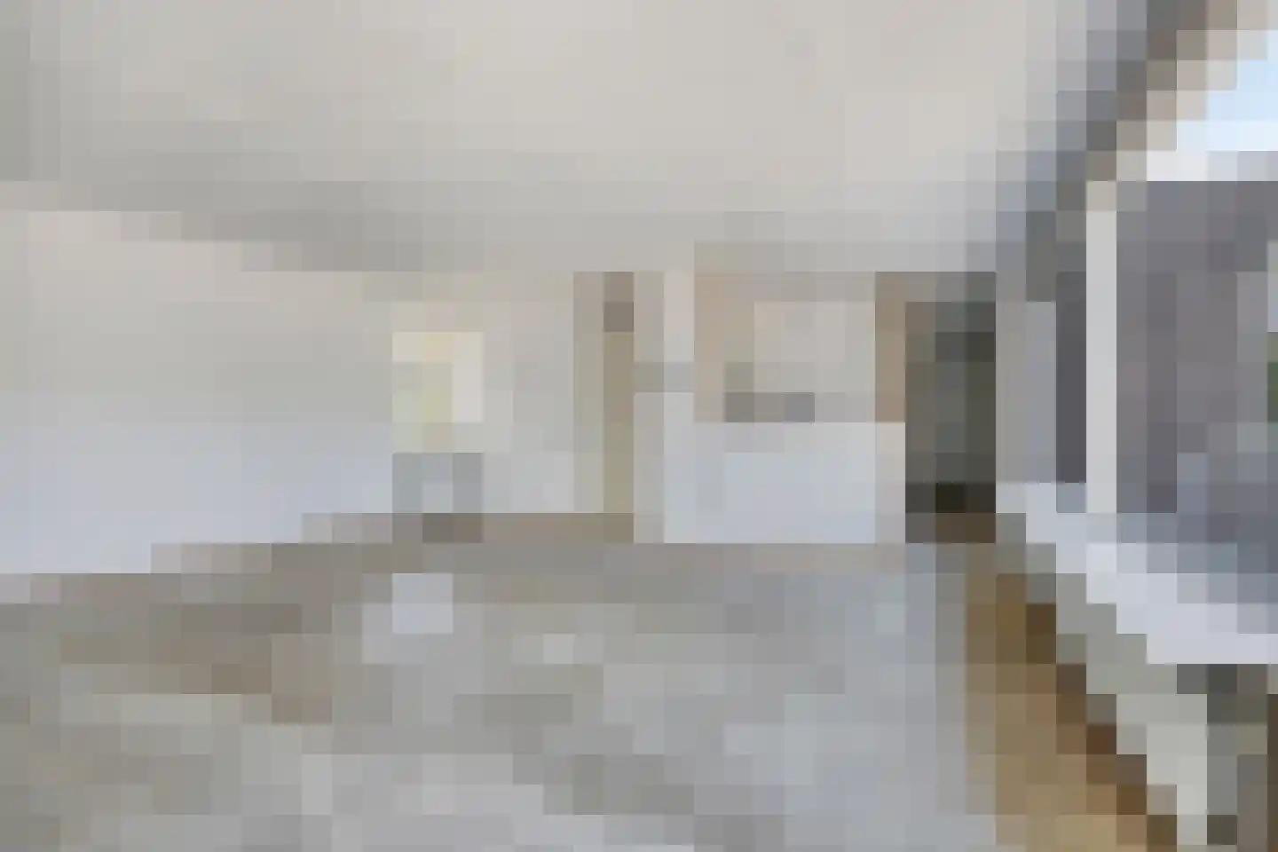 Eidereend 43 Emmen thumbnail 10