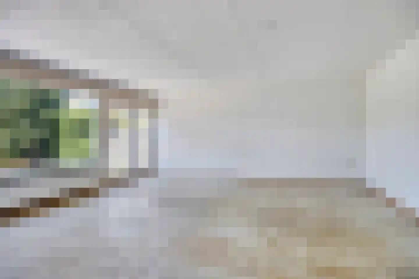 Eidereend 43 Emmen thumbnail 14