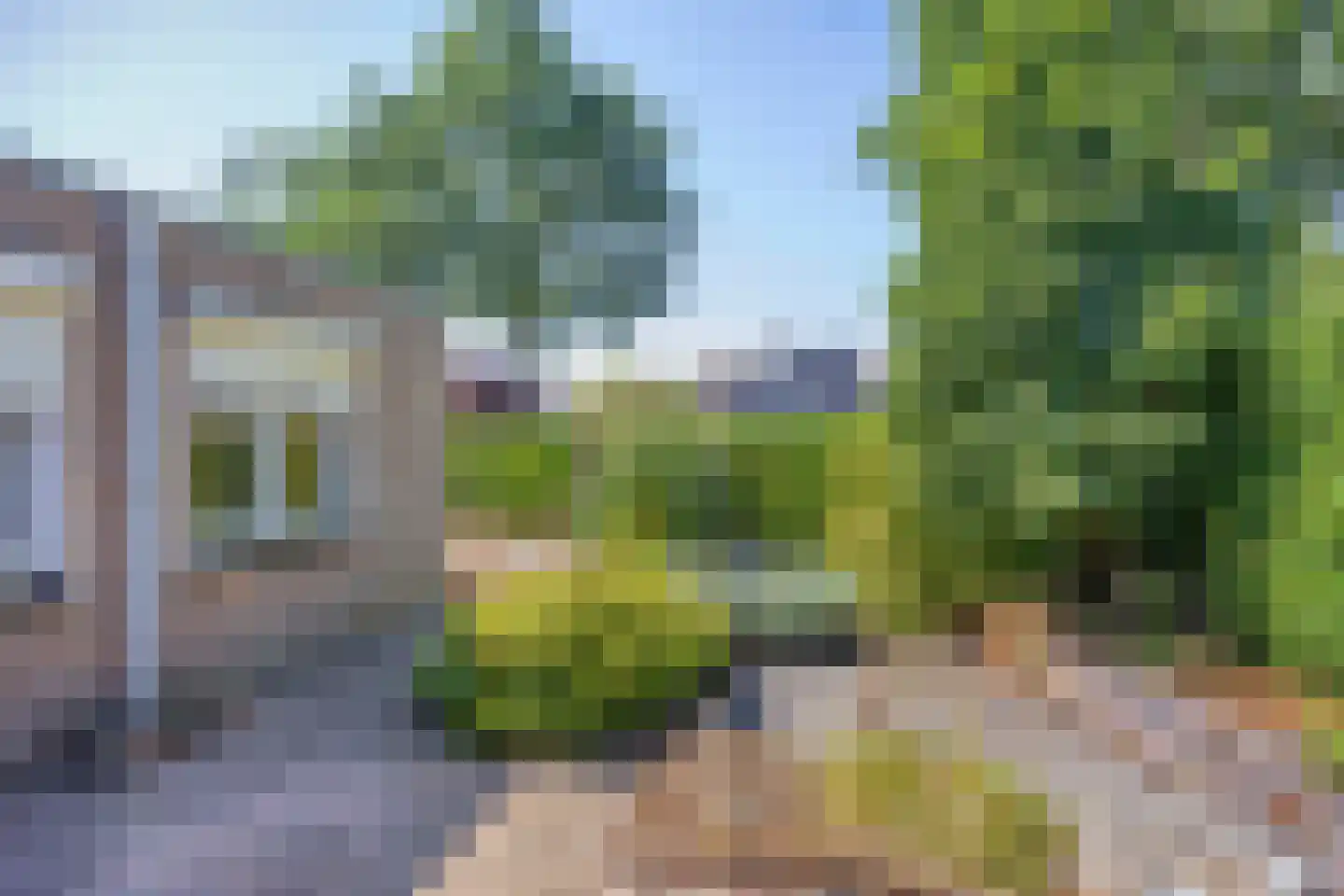 Eidereend 43 Emmen thumbnail 31