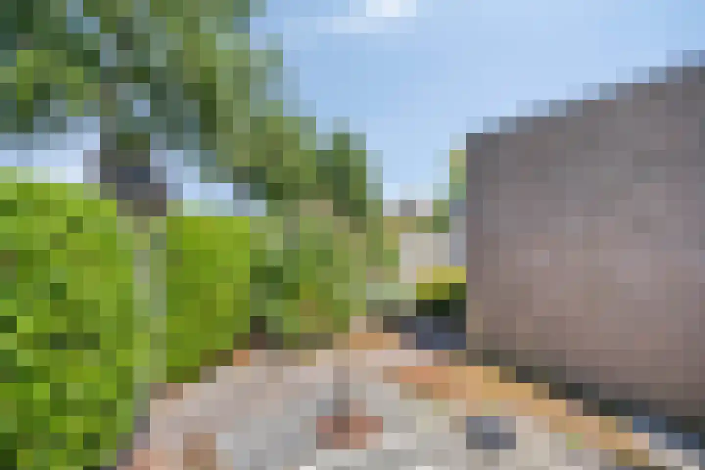 Eidereend 43 Emmen thumbnail 33