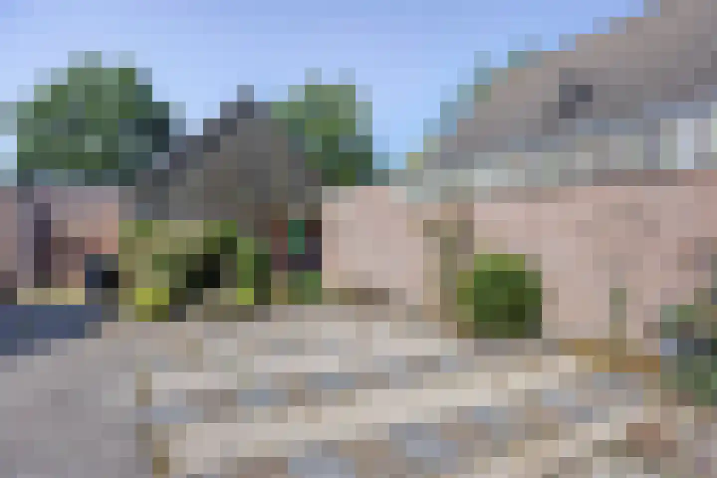 Eidereend 43 Emmen thumbnail 34