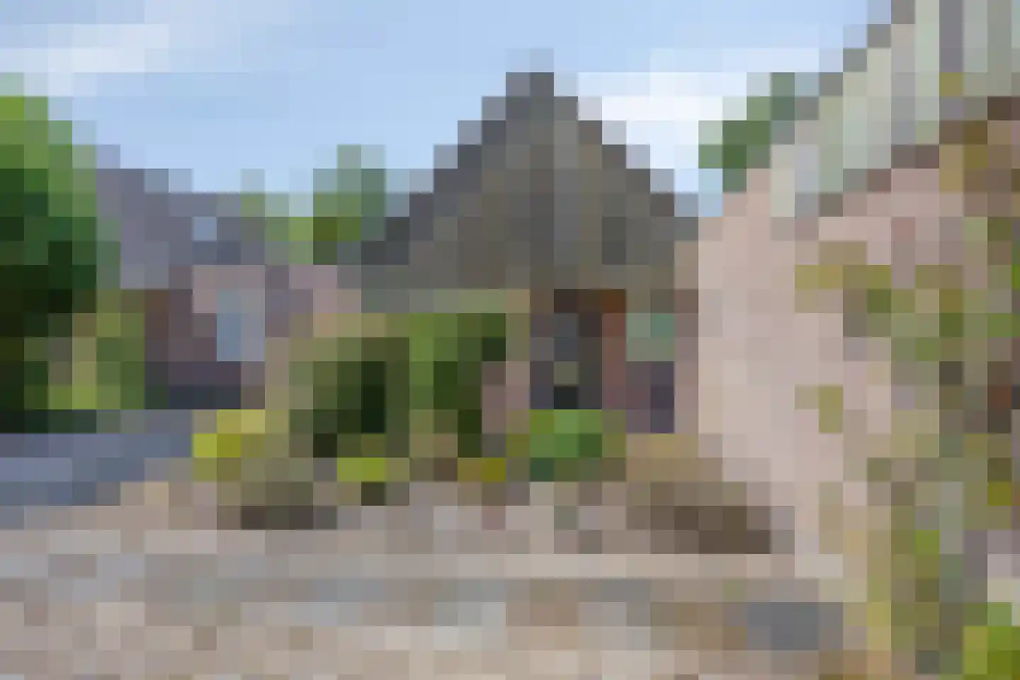Eidereend 43 Emmen thumbnail 35
