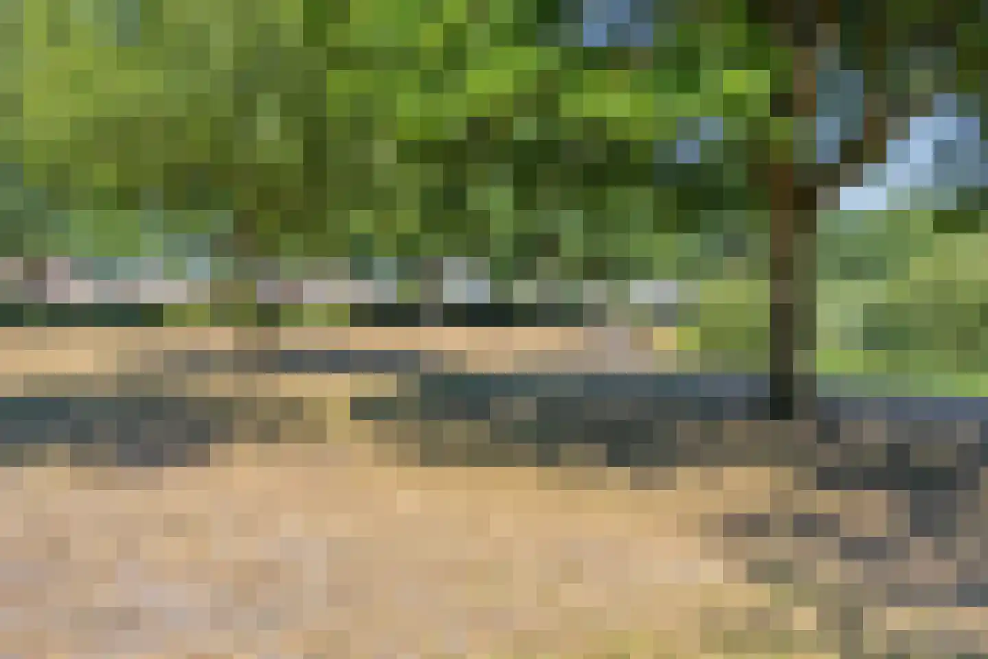Eidereend 43 Emmen thumbnail 40