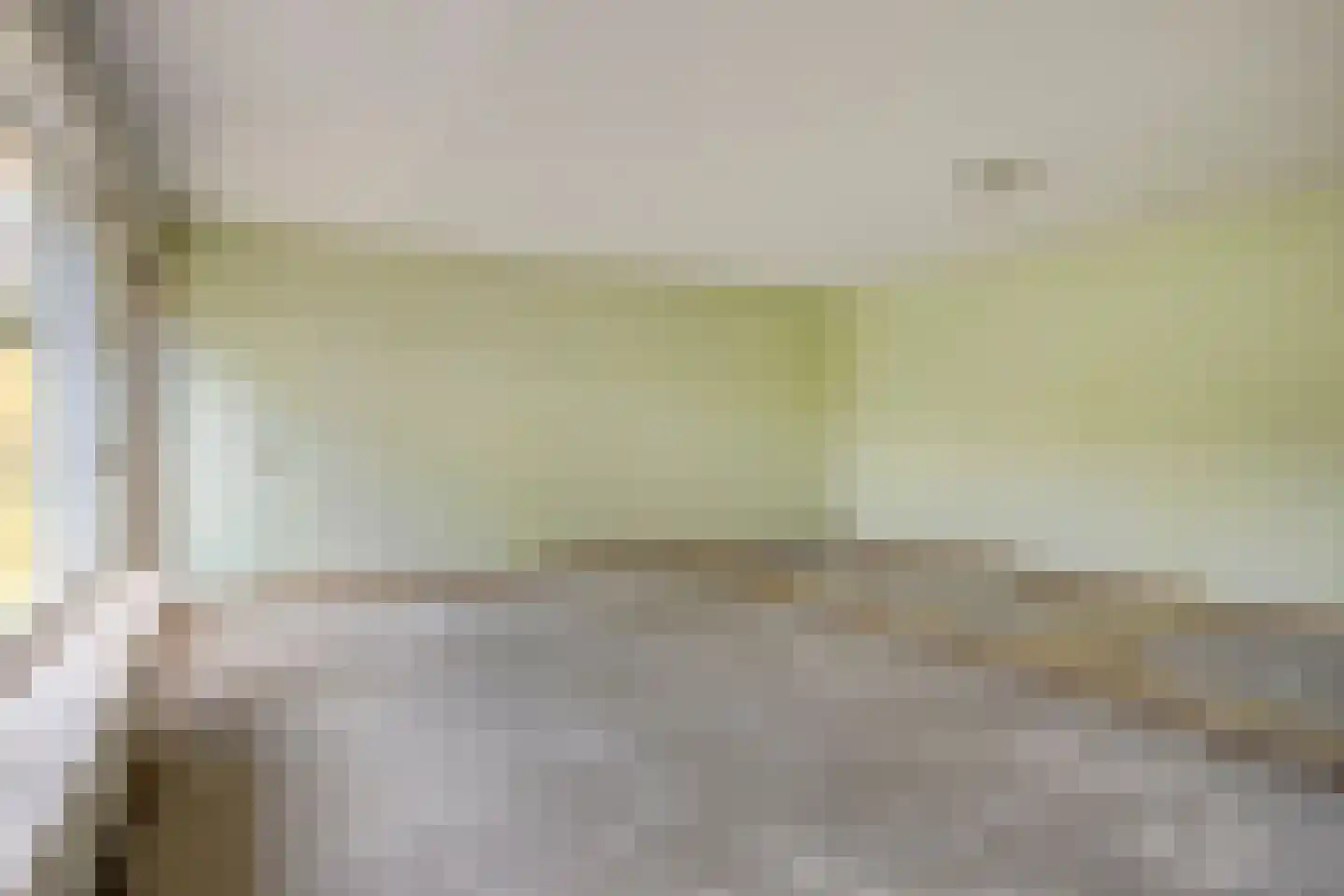 Eidereend 46 Emmen thumbnail 10