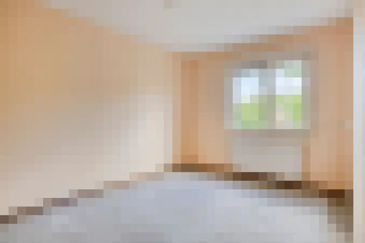 Eidereend 46 Emmen thumbnail 16