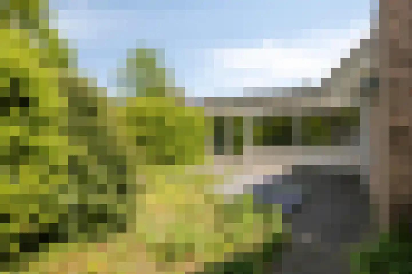 Eidereend 46 Emmen thumbnail 32