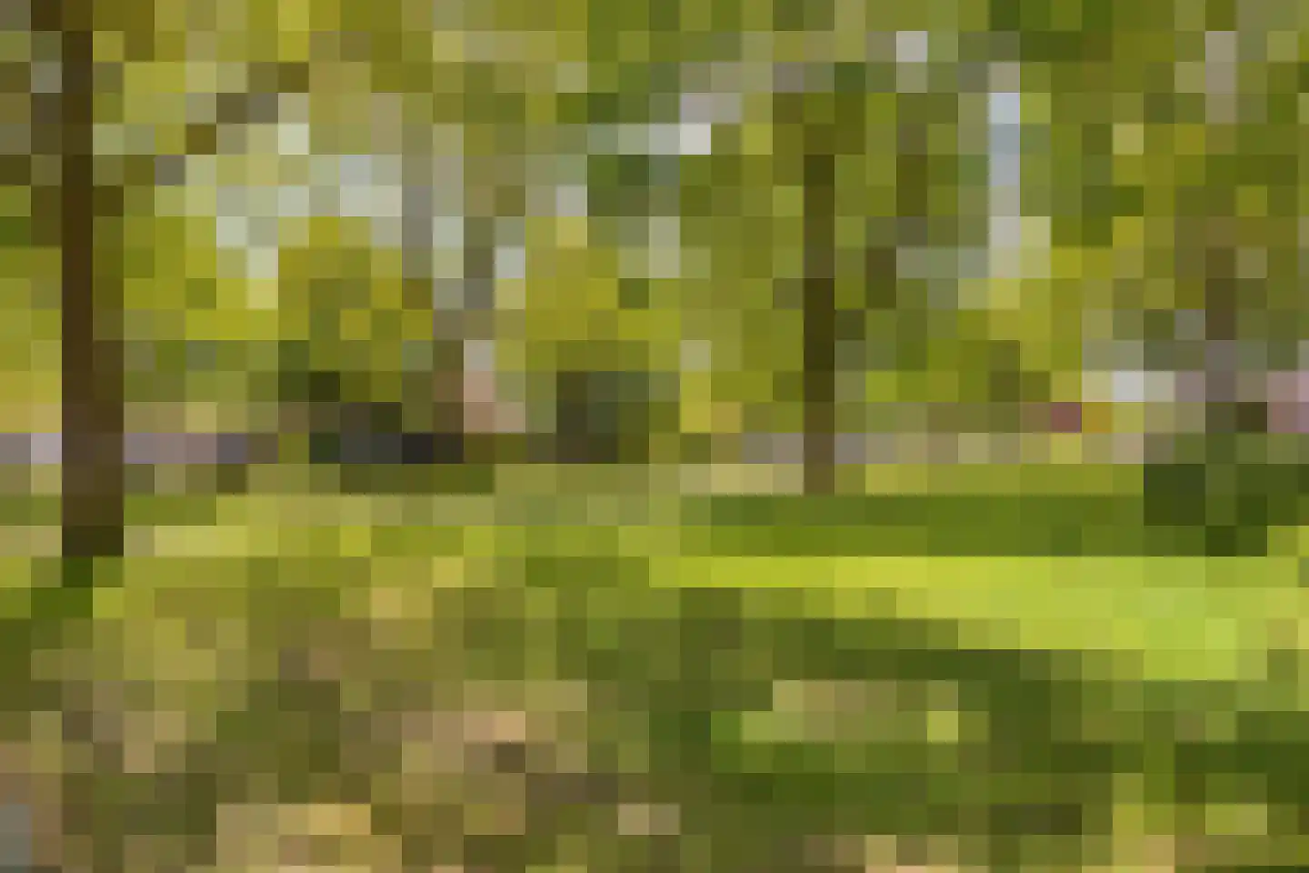 Eidereend 46 Emmen thumbnail 33