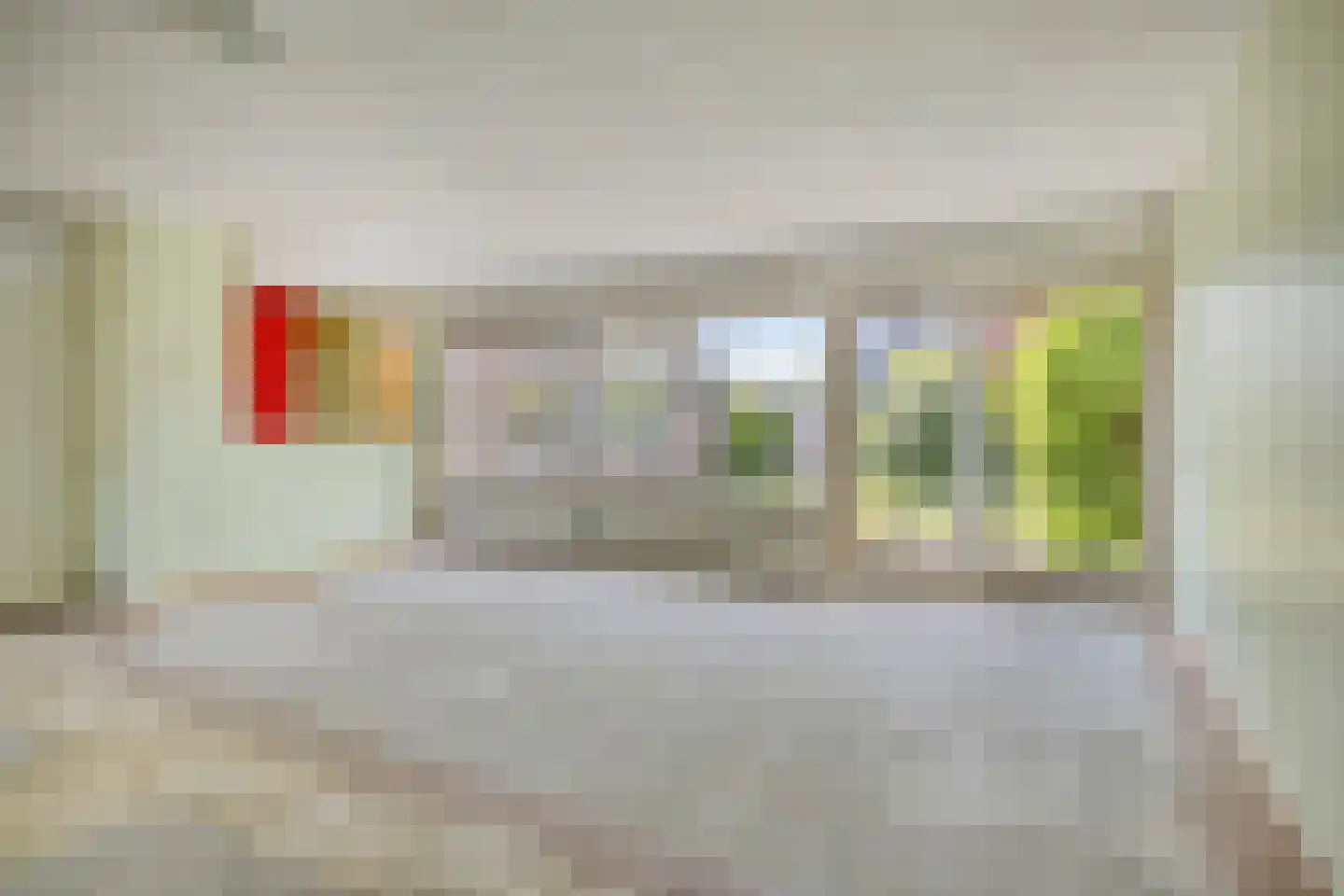 Eidereend 46 Emmen thumbnail 7