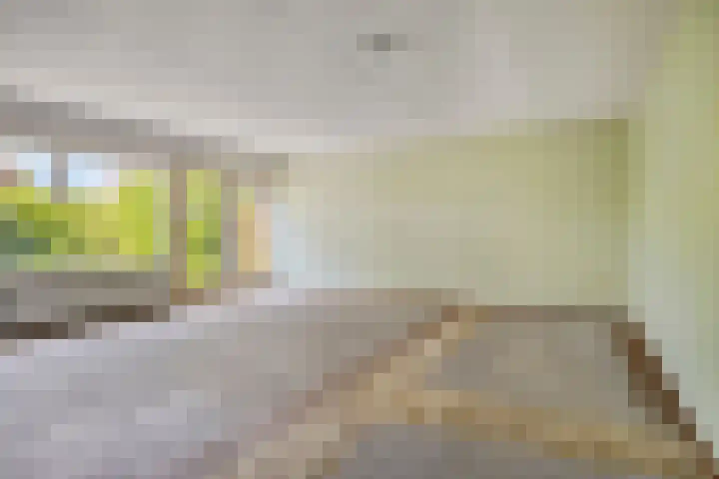 Eidereend 46 Emmen thumbnail 8