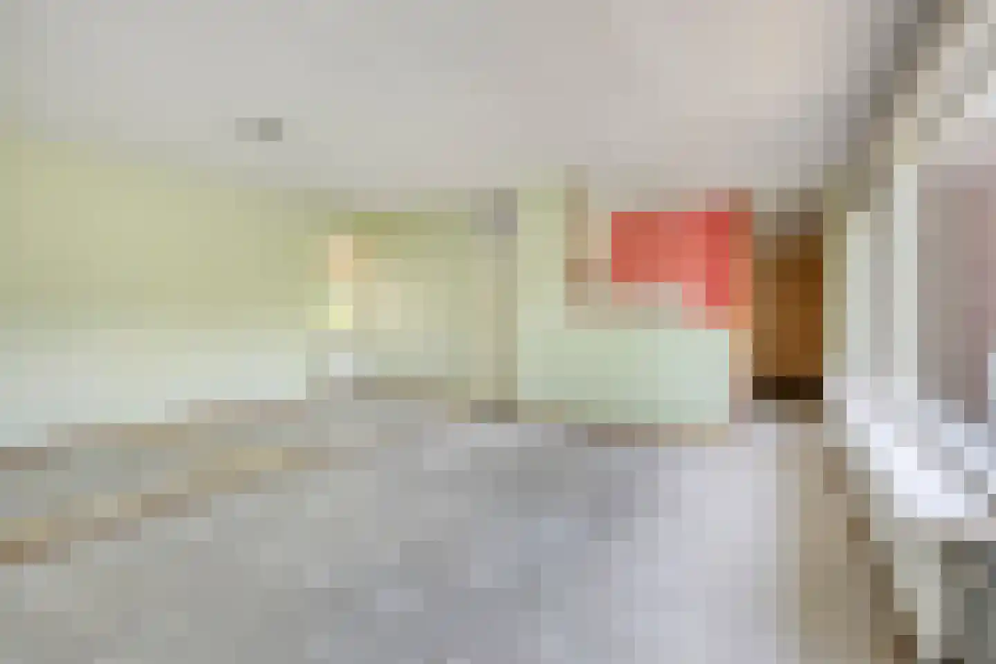 Eidereend 46 Emmen thumbnail 9