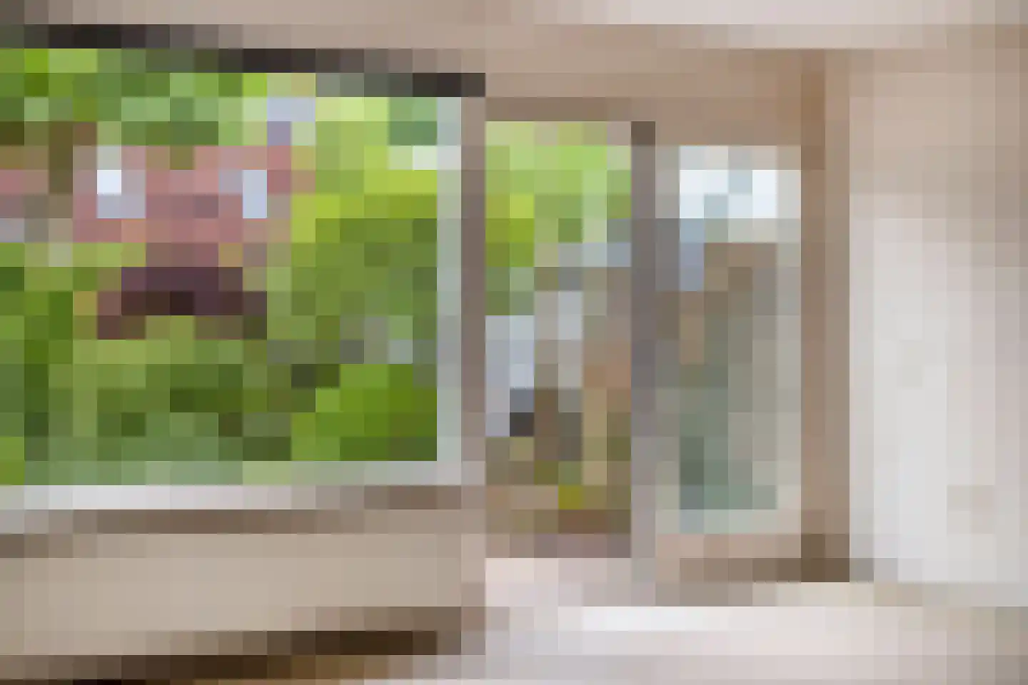 Eidereend 52 Emmen thumbnail 11