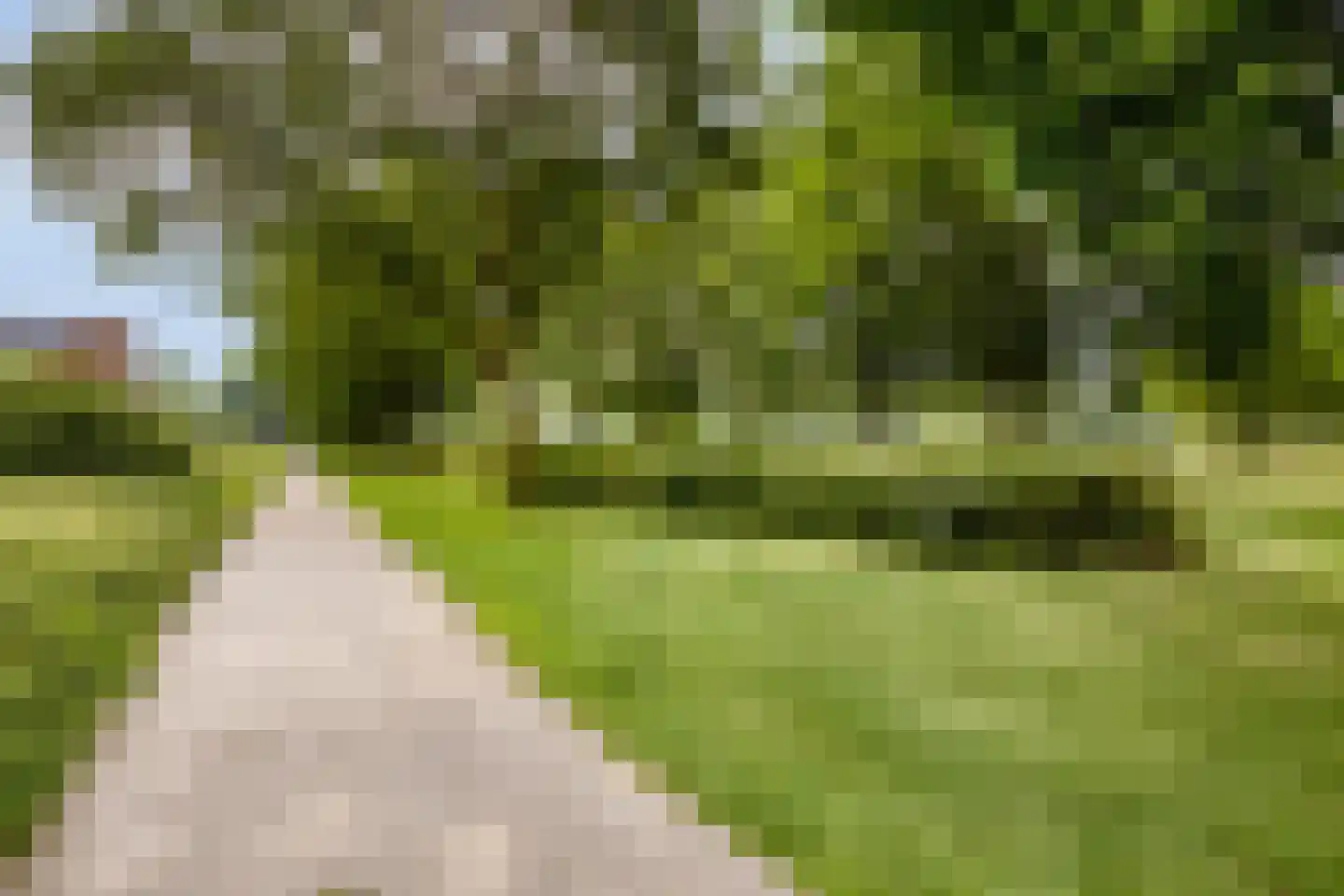 Eidereend 52 Emmen thumbnail 33