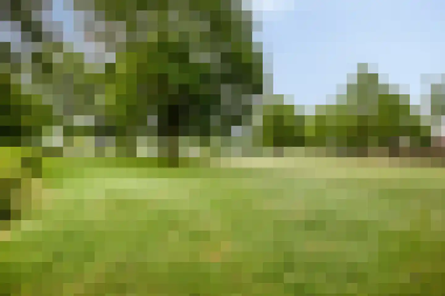 Eidereend 52 Emmen thumbnail 34