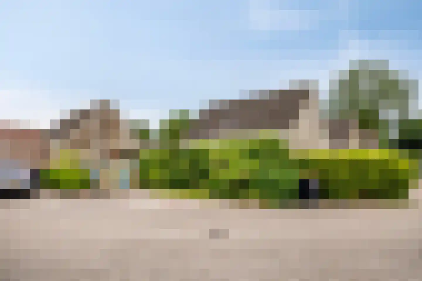 Eidereend 52 Emmen thumbnail 37