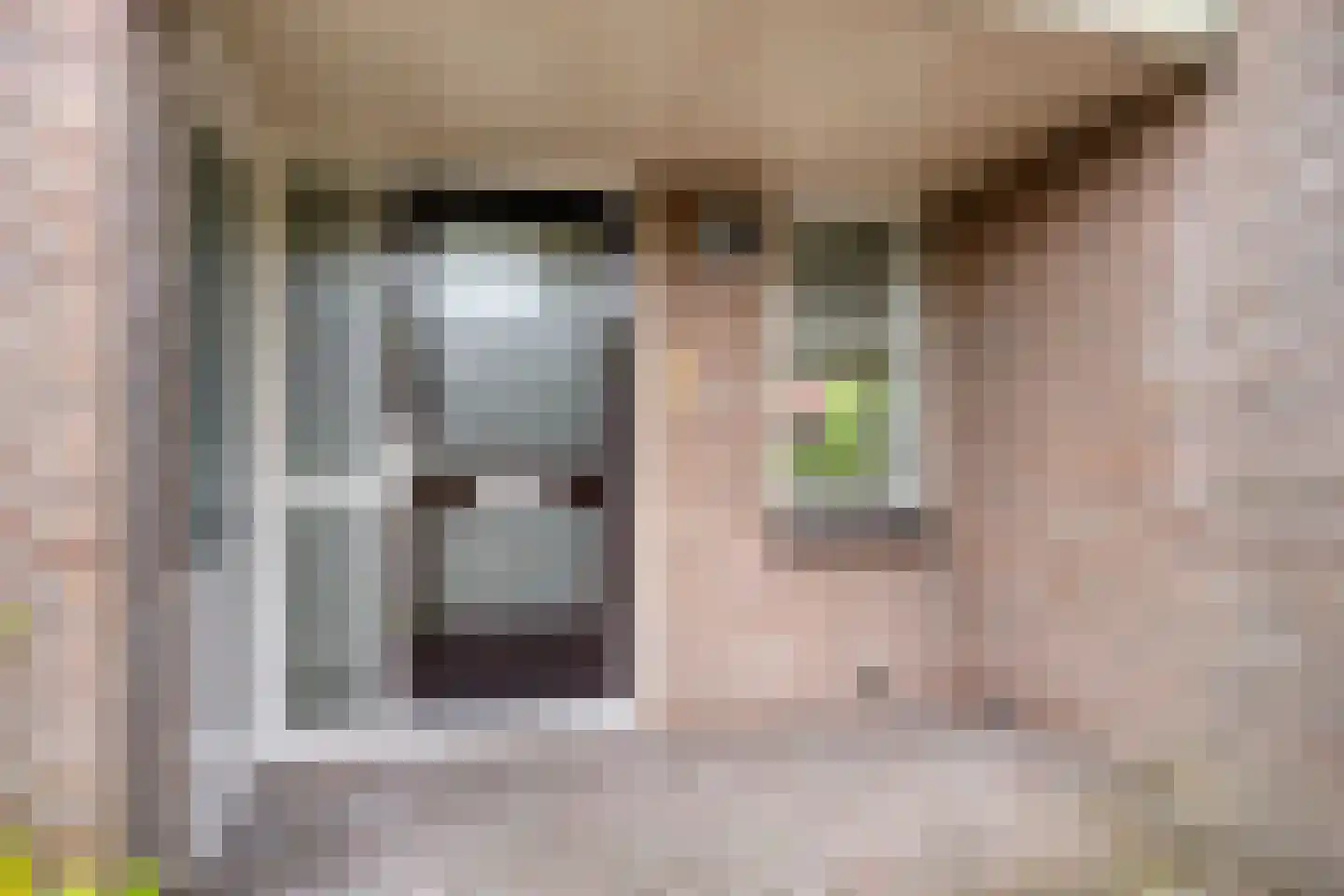 Eidereend 52 Emmen thumbnail 4