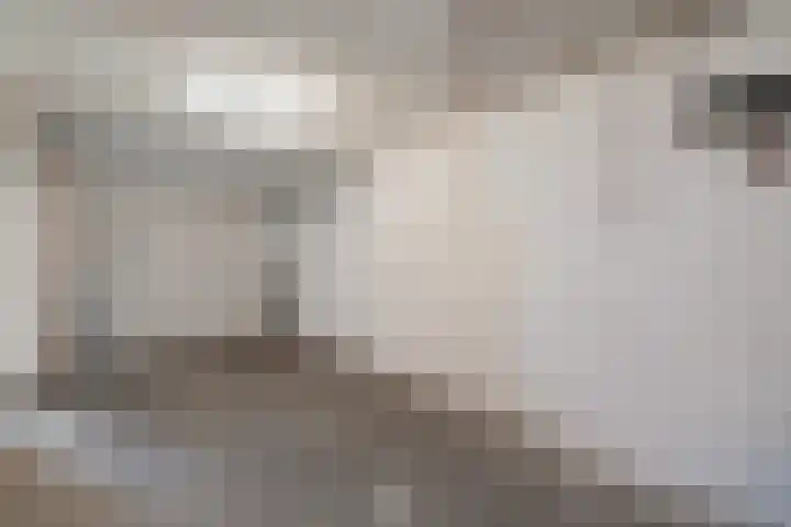 Eidereend 65 Emmen thumbnail 24