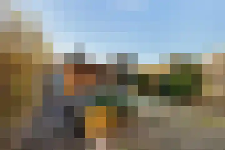 Eidereend 65 Emmen thumbnail 25