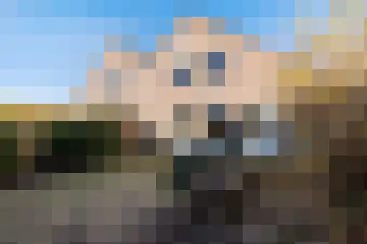 Eidereend 65 Emmen thumbnail 27